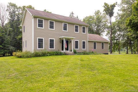 143 Ryan Road Pine Plains NY 12567