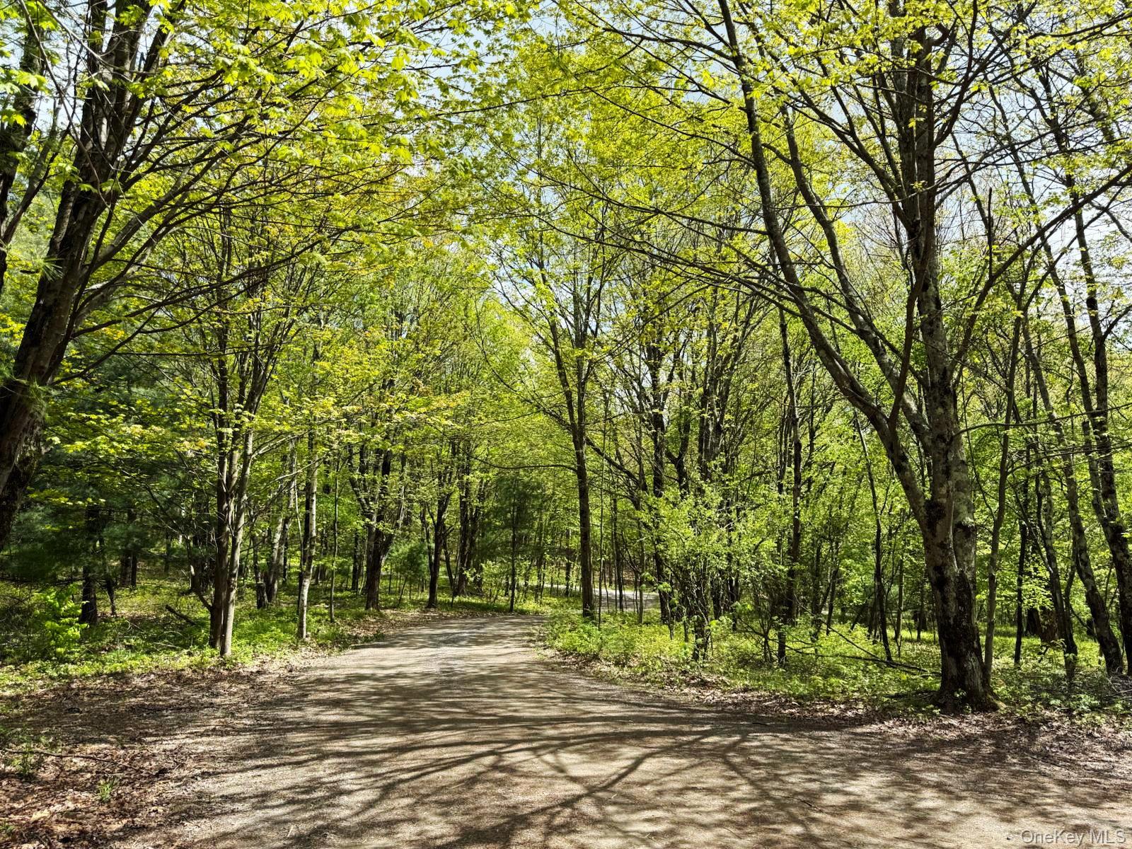 East Chatham, New York 12060, United States, 3 Bedrooms Bedrooms, ,3 BathroomsBathrooms,Residential,Active,135401