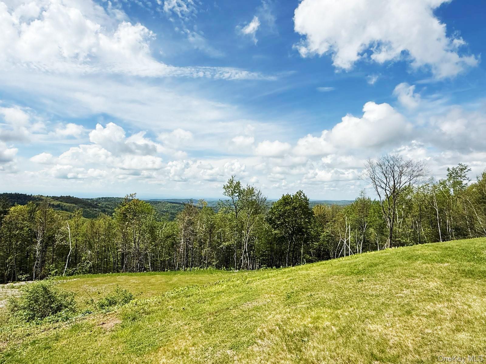 East Chatham, New York 12060, United States, 3 Bedrooms Bedrooms, ,3 BathroomsBathrooms,Residential,Active,135401