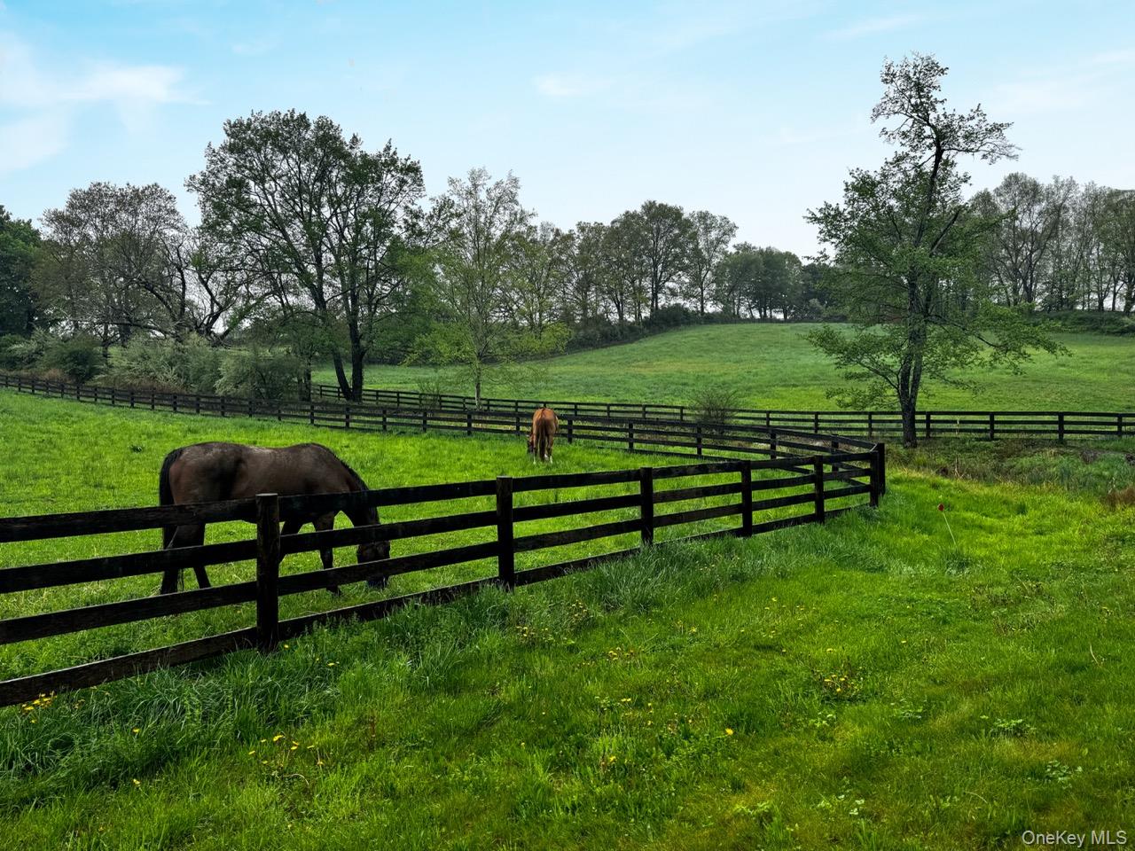 North Salem, New York 10560, United States, 10 Bedrooms Bedrooms, ,9 BathroomsBathrooms,Residential,Active,124223