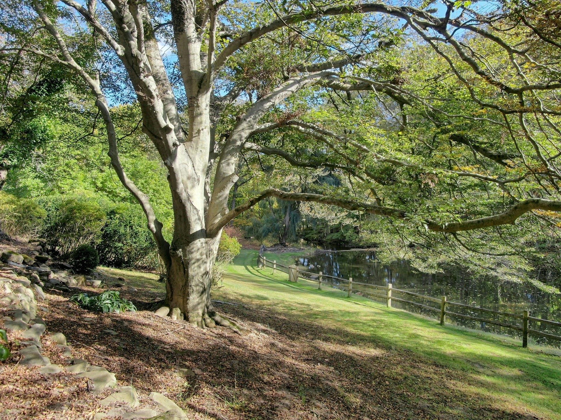 374 S Mountain Road, New City, New York image 8