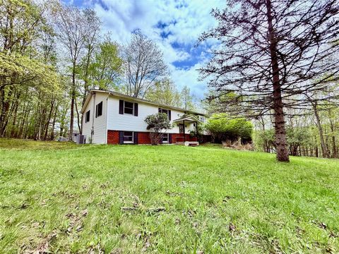 6 Pine Avenue Mountain Dale NY 12763