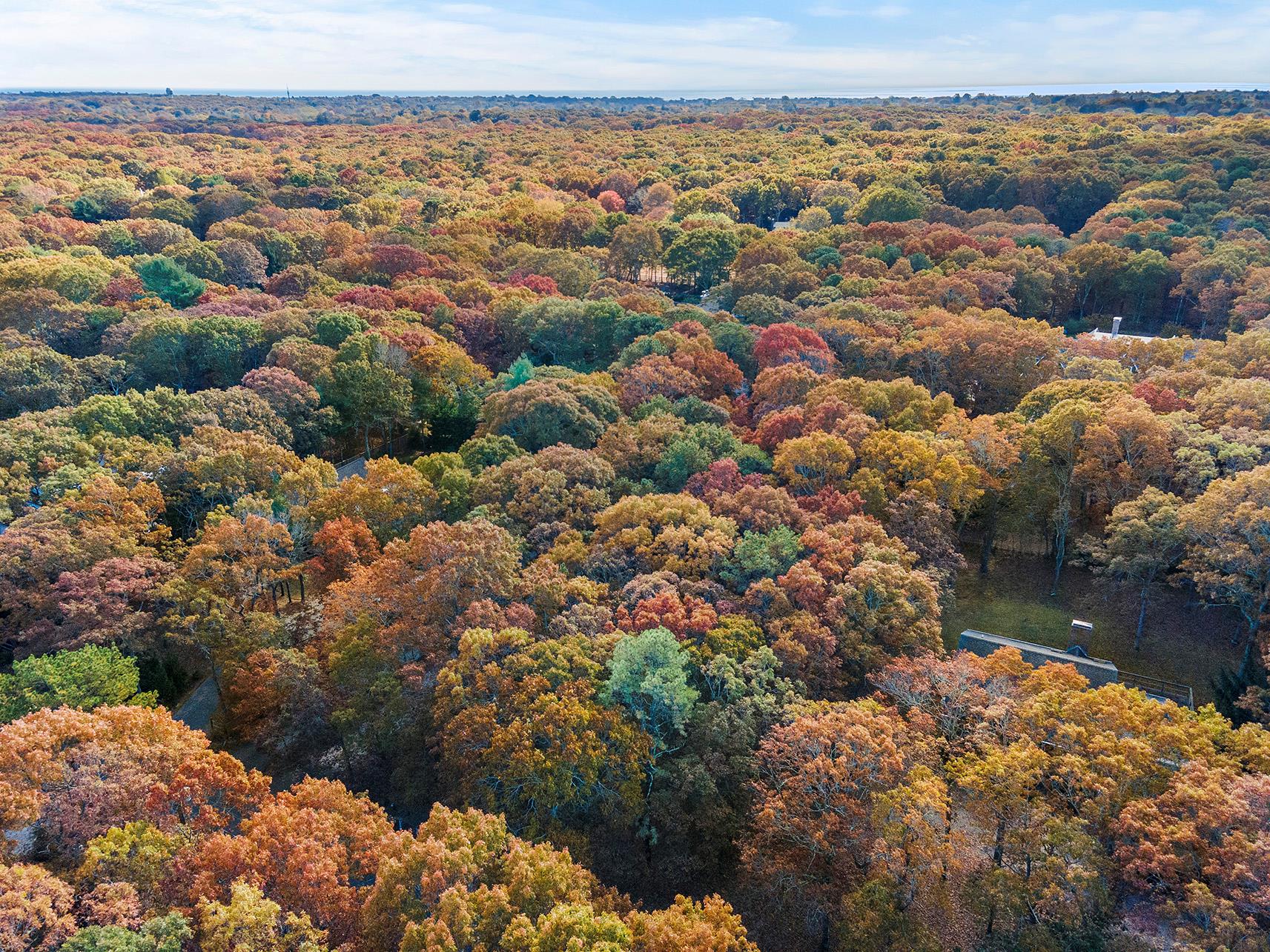 38 Wooded Oak Lane Wooded Oak Ln, East Hampton, New York image 16