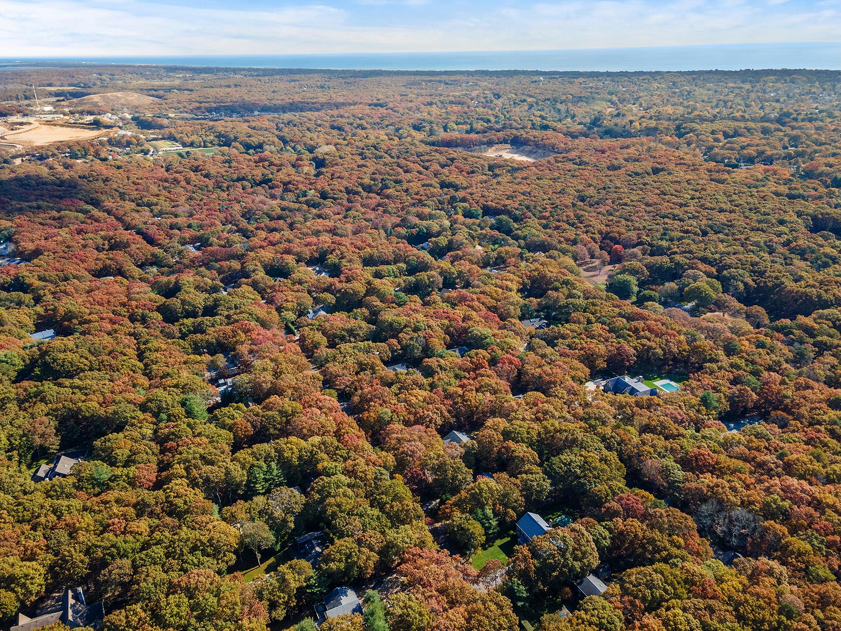 38 Wooded Oak Lane Wooded Oak Ln, East Hampton, New York image 12