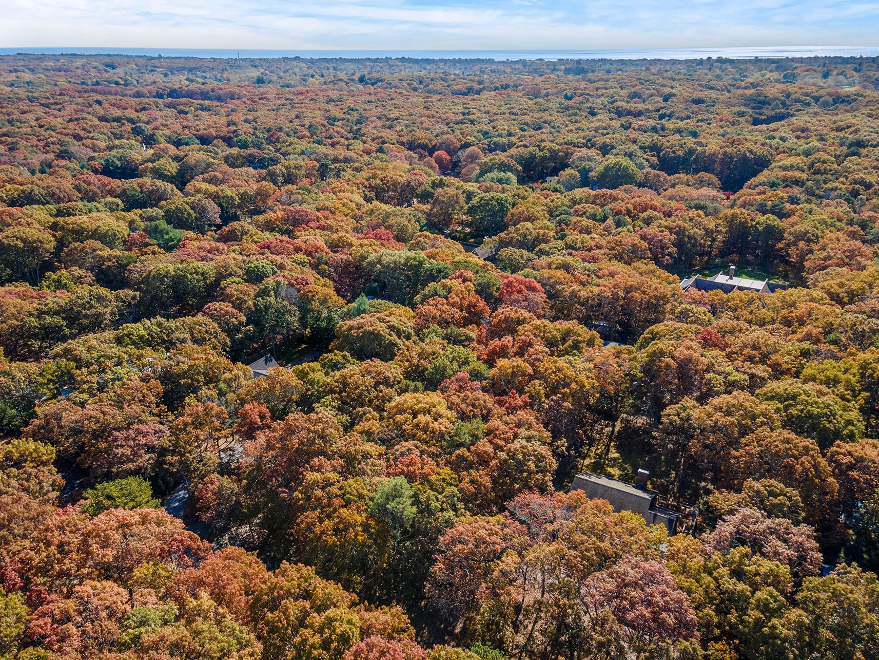 38 Wooded Oak Lane Wooded Oak Ln, East Hampton, New York image 11