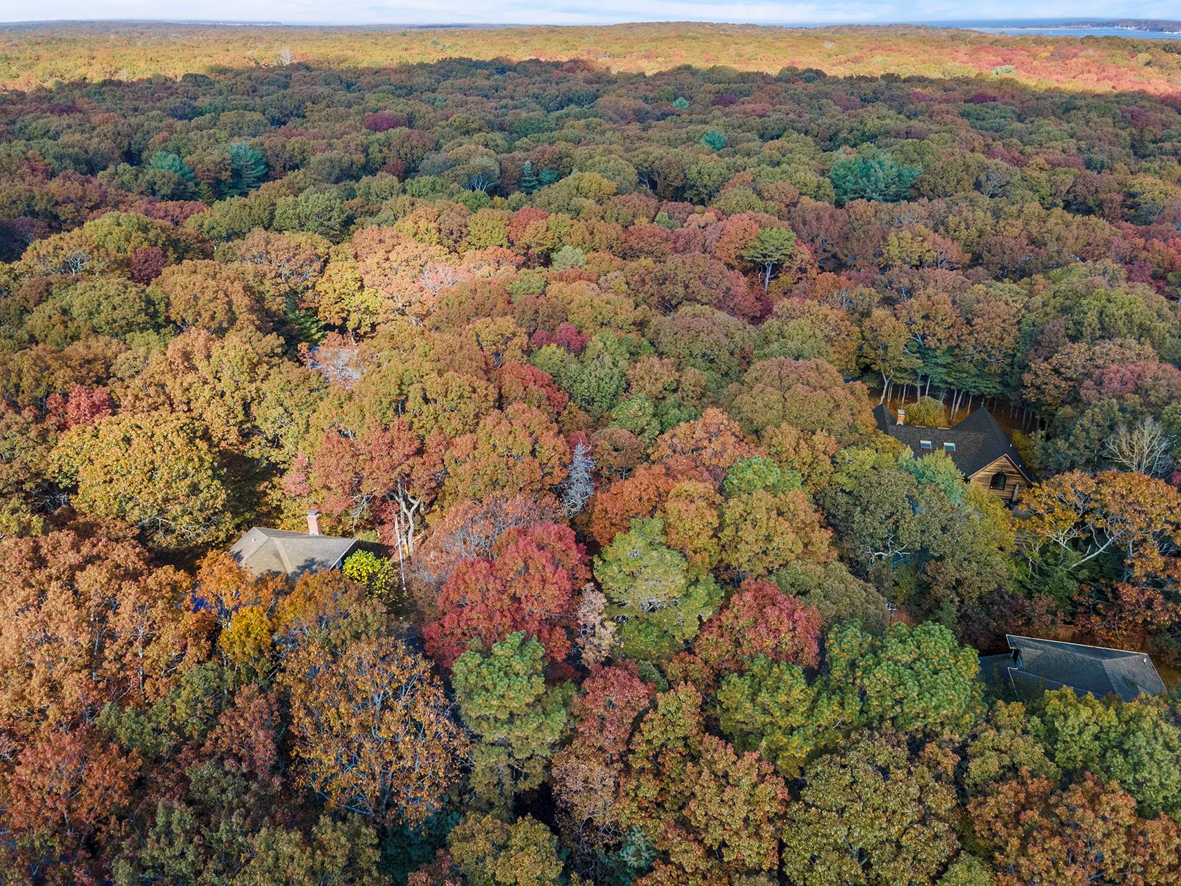 38 Wooded Oak Lane Wooded Oak Ln, East Hampton, New York image 15