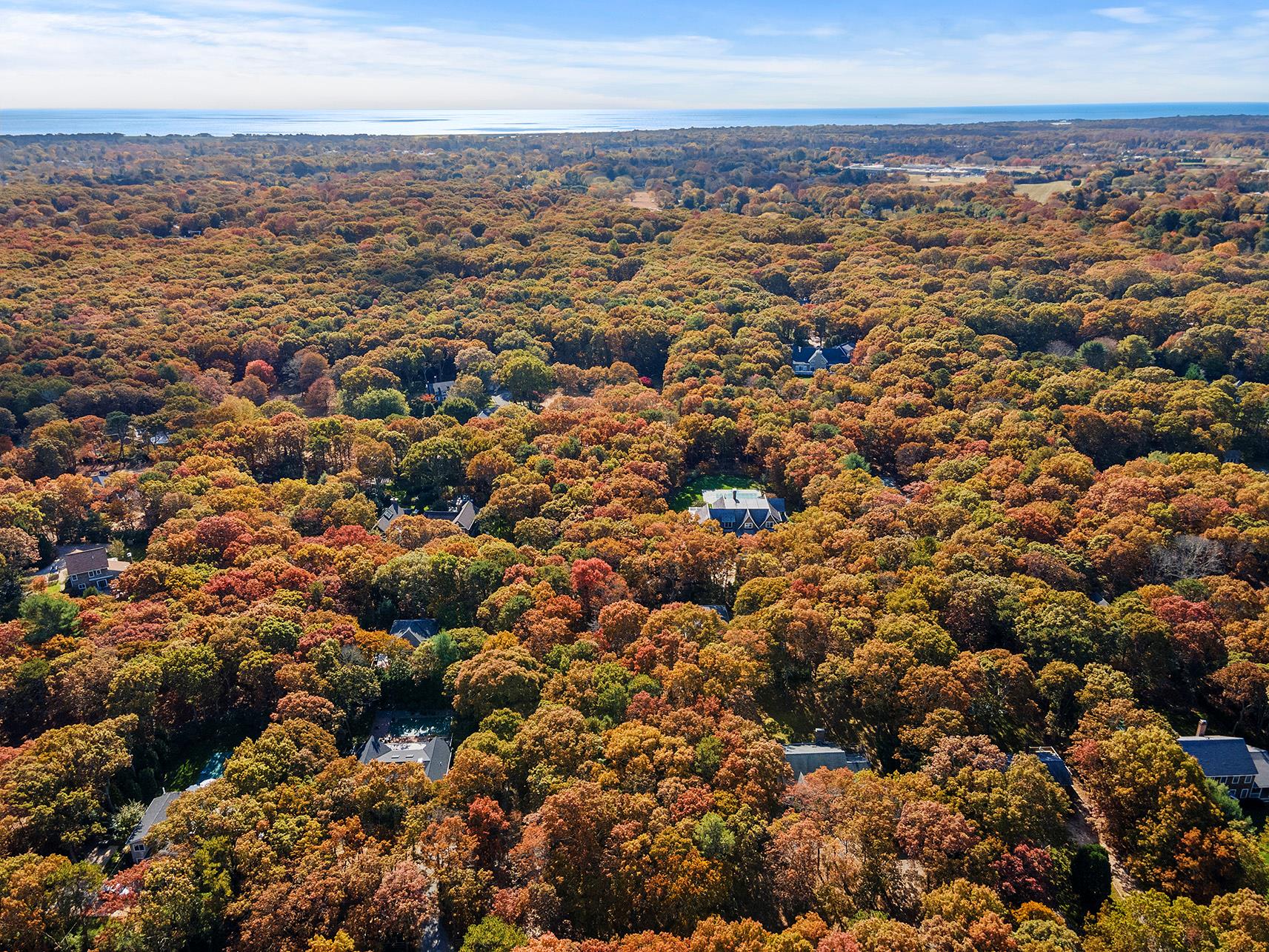 38 Wooded Oak Lane Wooded Oak Ln, East Hampton, New York image 5