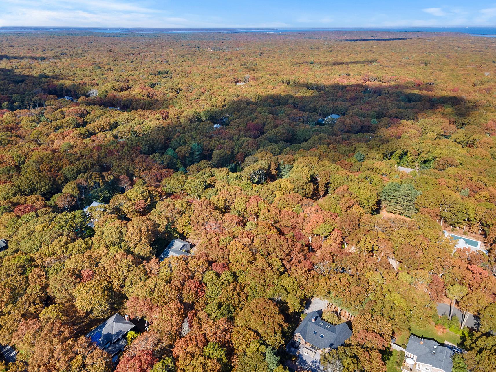 38 Wooded Oak Lane Wooded Oak Ln, East Hampton, New York image 17