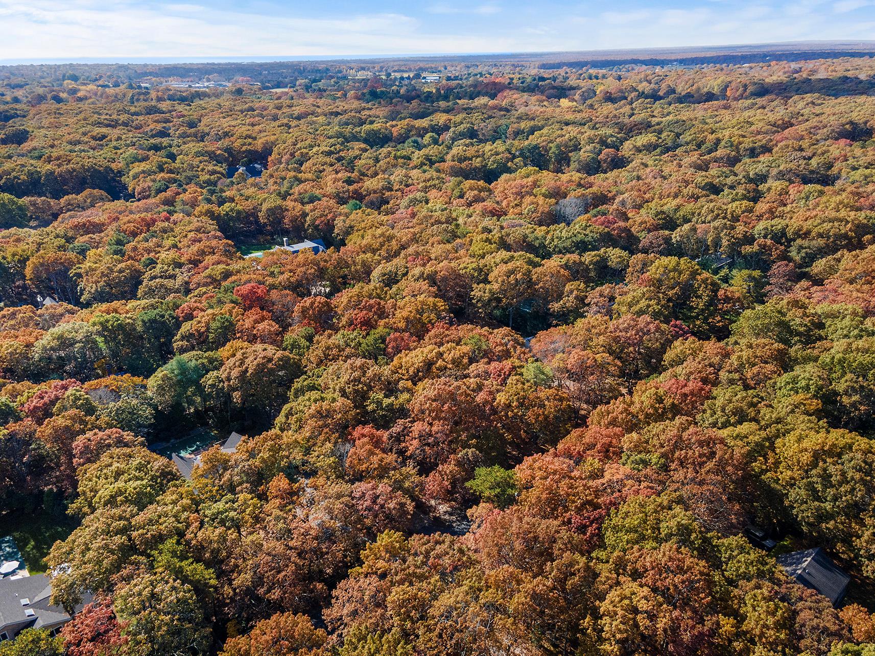 38 Wooded Oak Lane Wooded Oak Ln, East Hampton, New York image 10