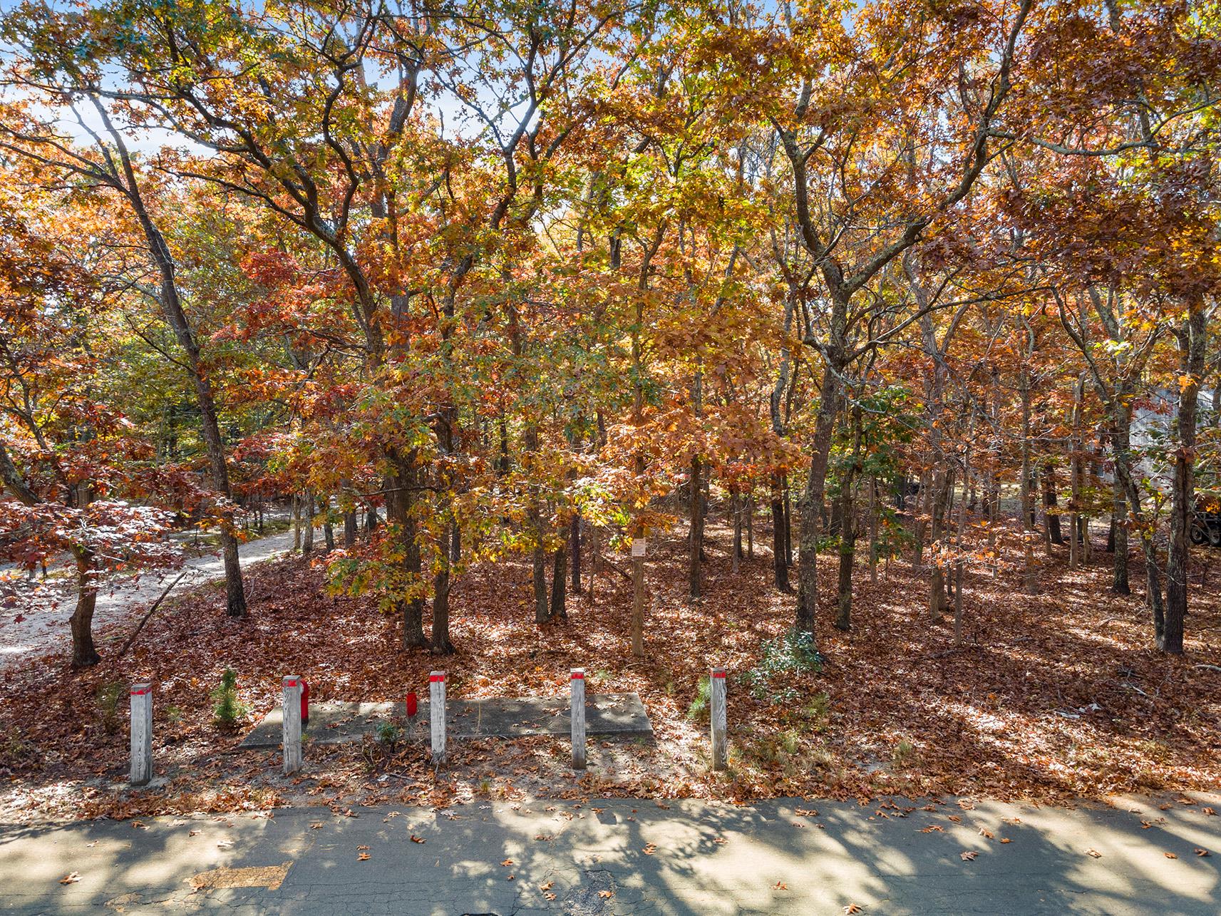 38 Wooded Oak Lane Wooded Oak Ln, East Hampton, New York image 1