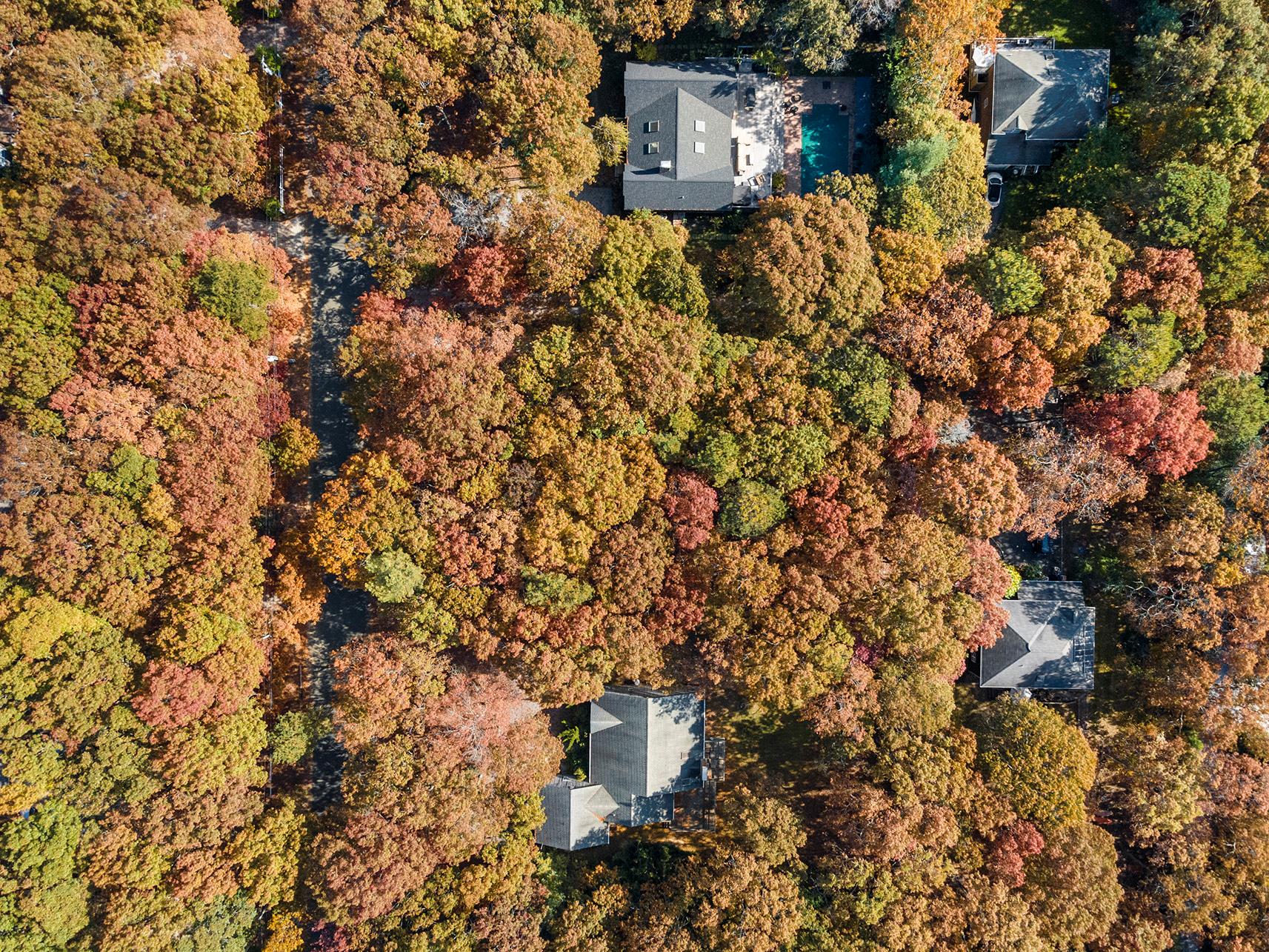 38 Wooded Oak Lane Wooded Oak Ln, East Hampton, New York image 8