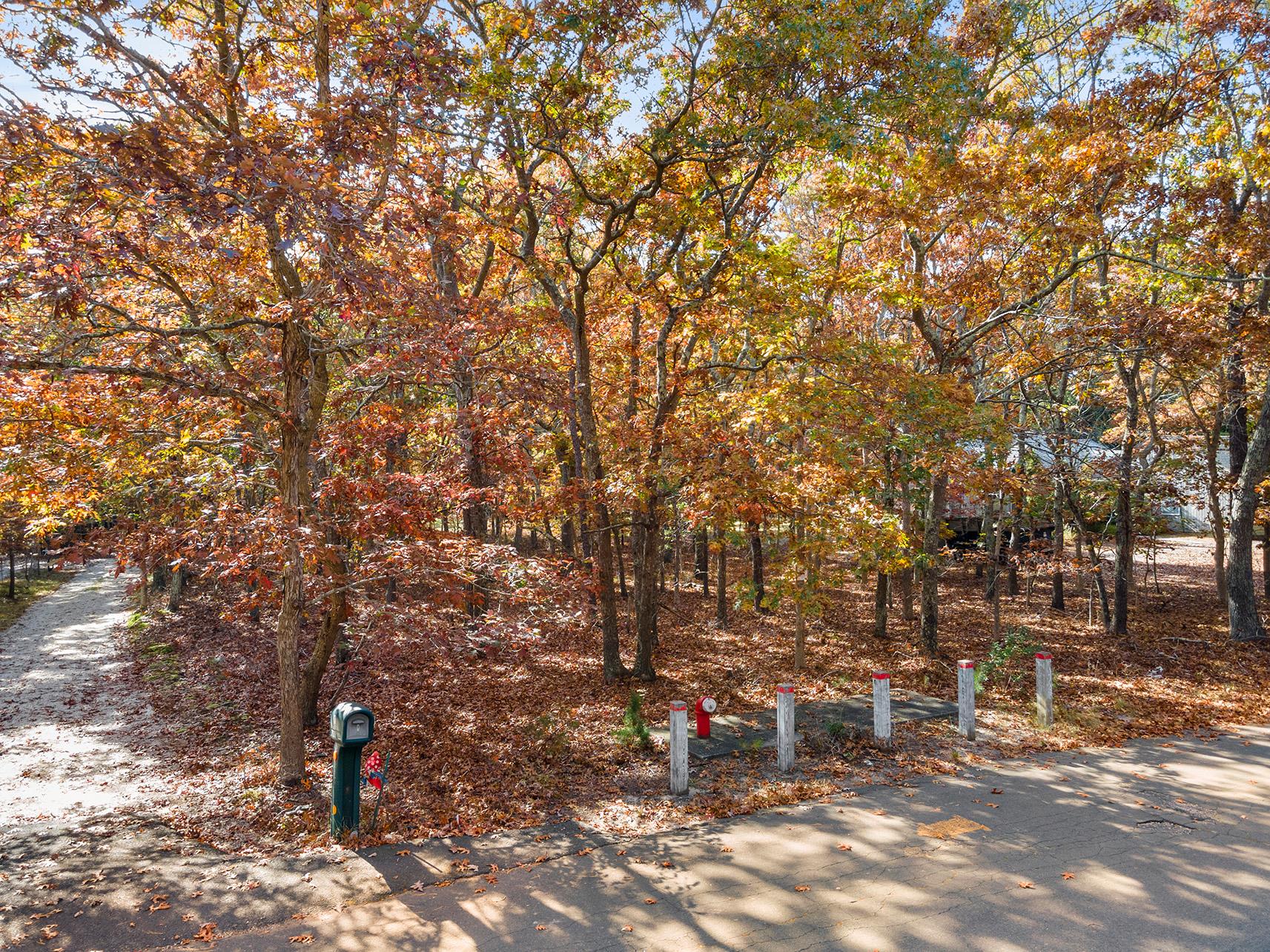 38 Wooded Oak Lane Wooded Oak Ln, East Hampton, New York image 3