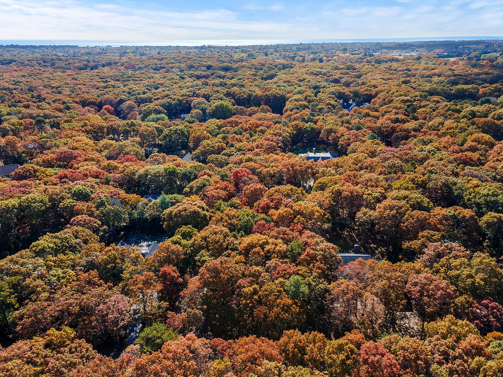 38 Wooded Oak Lane Wooded Oak Ln, East Hampton, New York image 9