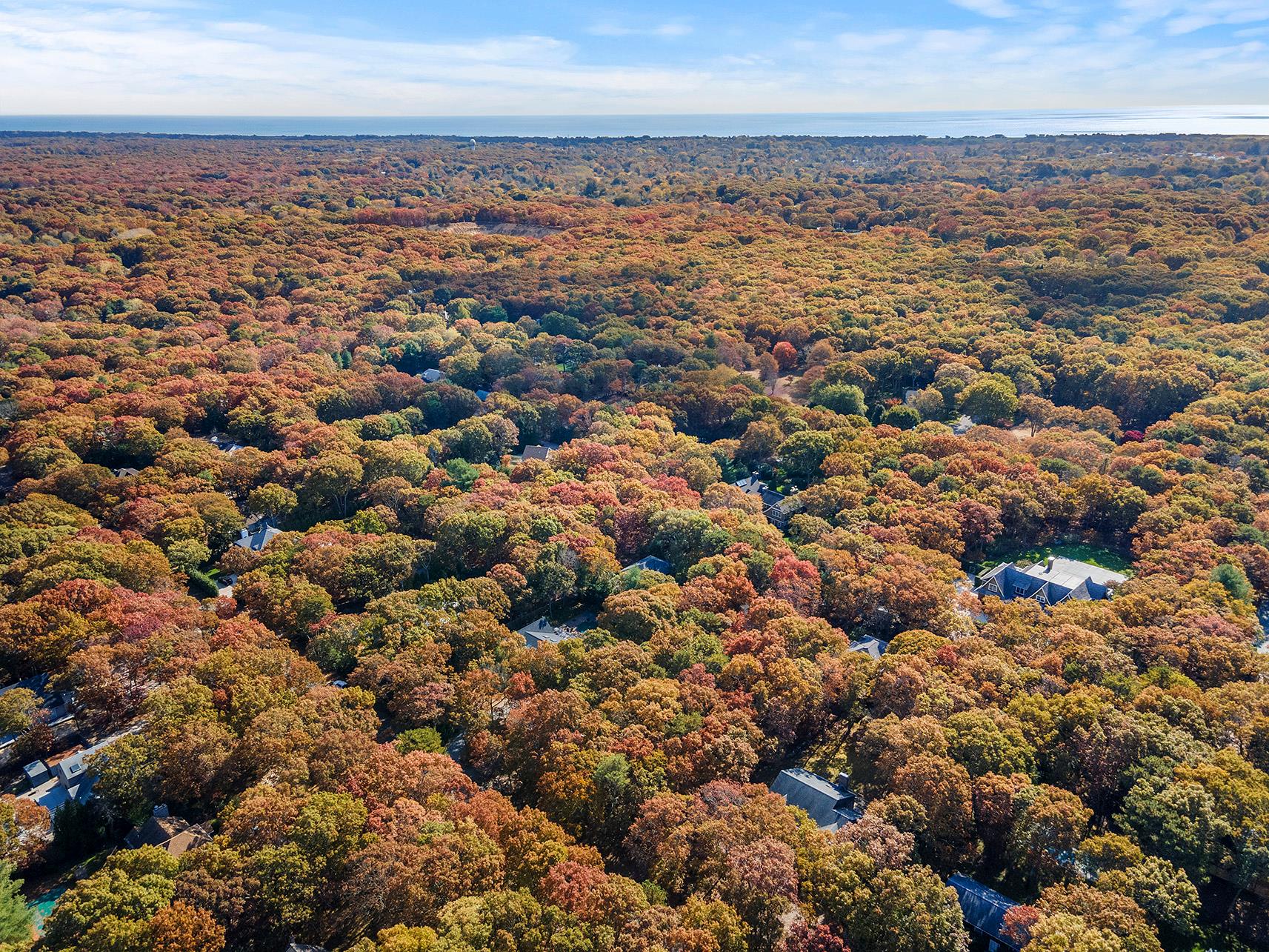 38 Wooded Oak Lane Wooded Oak Ln, East Hampton, New York image 6