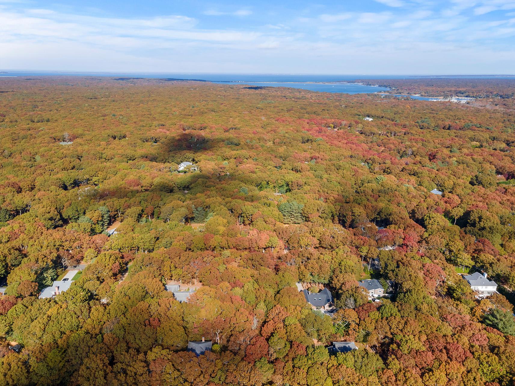 38 Wooded Oak Lane Wooded Oak Ln, East Hampton, New York image 7