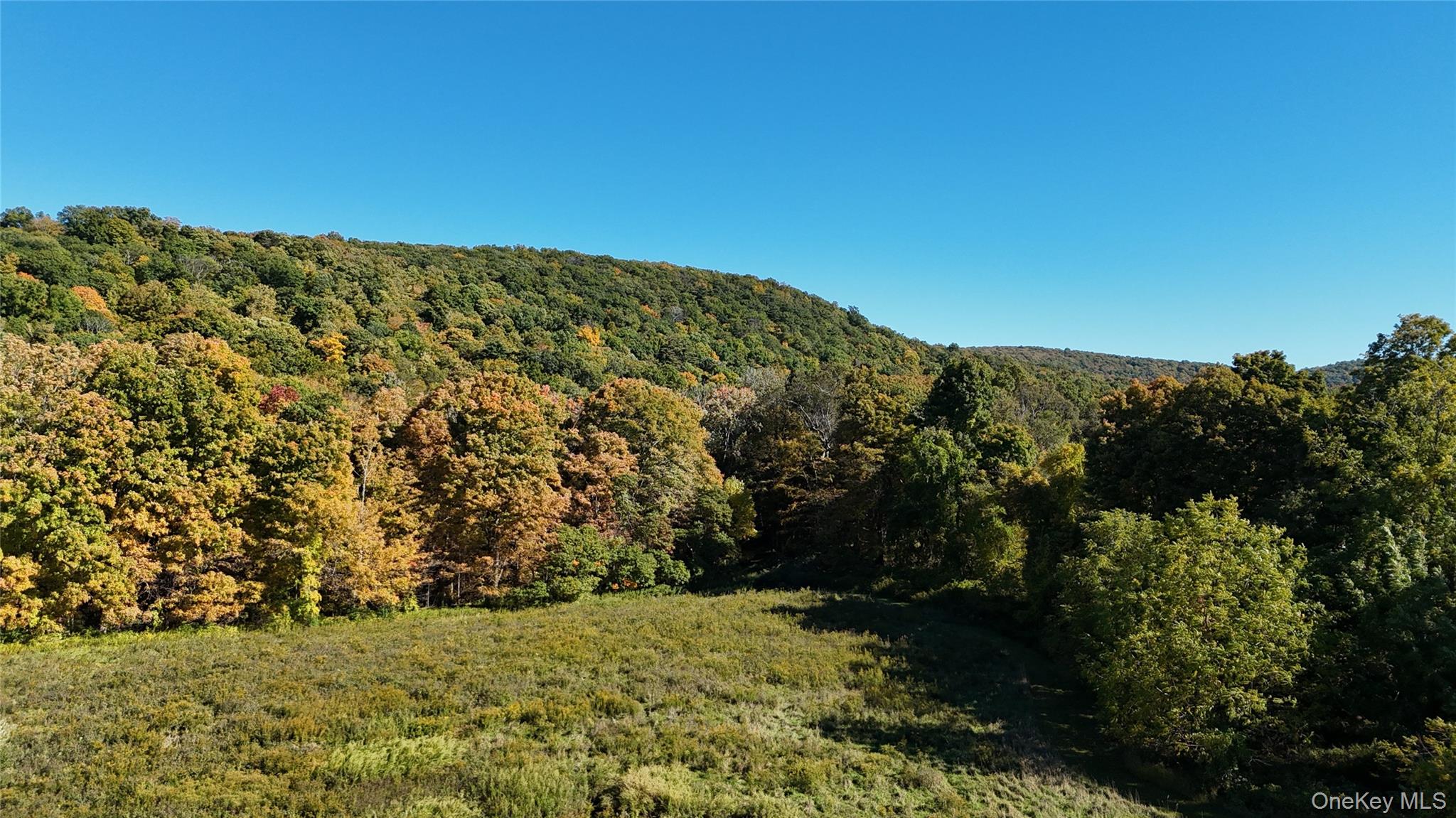 0 Pleasant Ridge Road