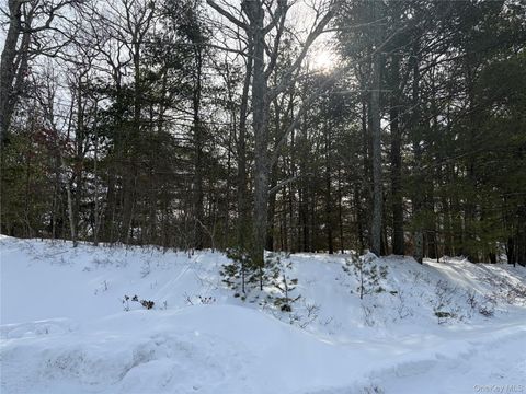 Vacant Land For Sale - LOT 1 Willow Lane<br/> Glen Spey, NY 12737