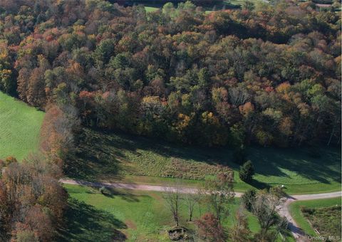 Vacant Land For Sale - LOT 10 Timber Drive Road<br/> Sullivan County, Cochecton, NY 12726