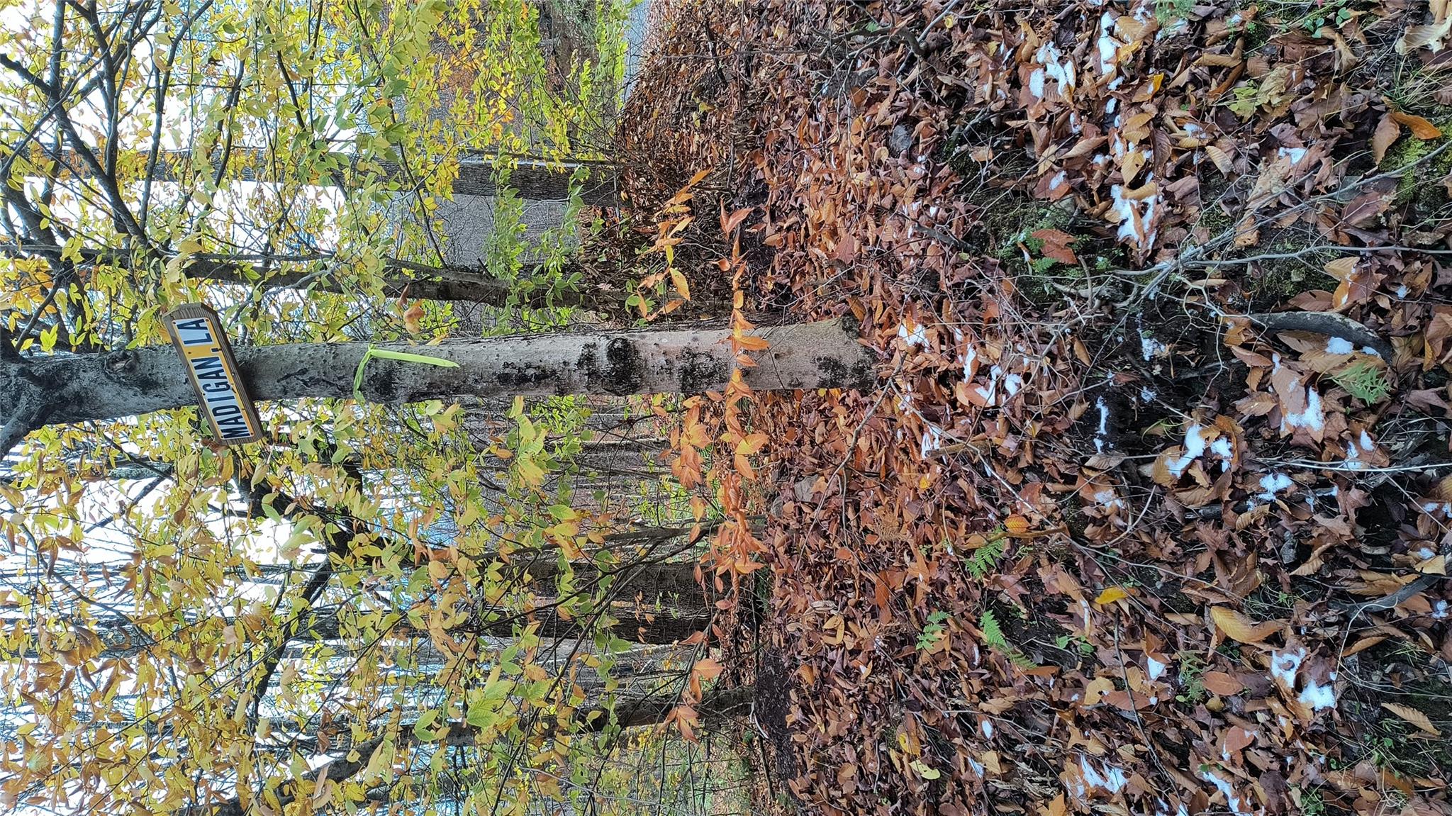 Madigan Road, Roscoe, New York image 2