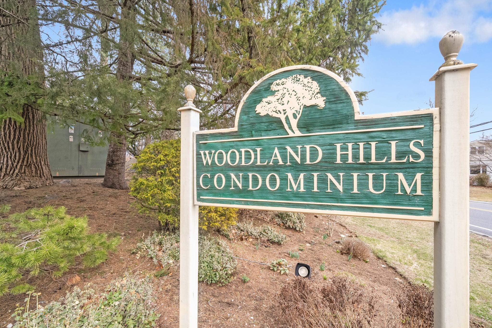 616 Woodland Hills Road, White Plains, New York image 22
