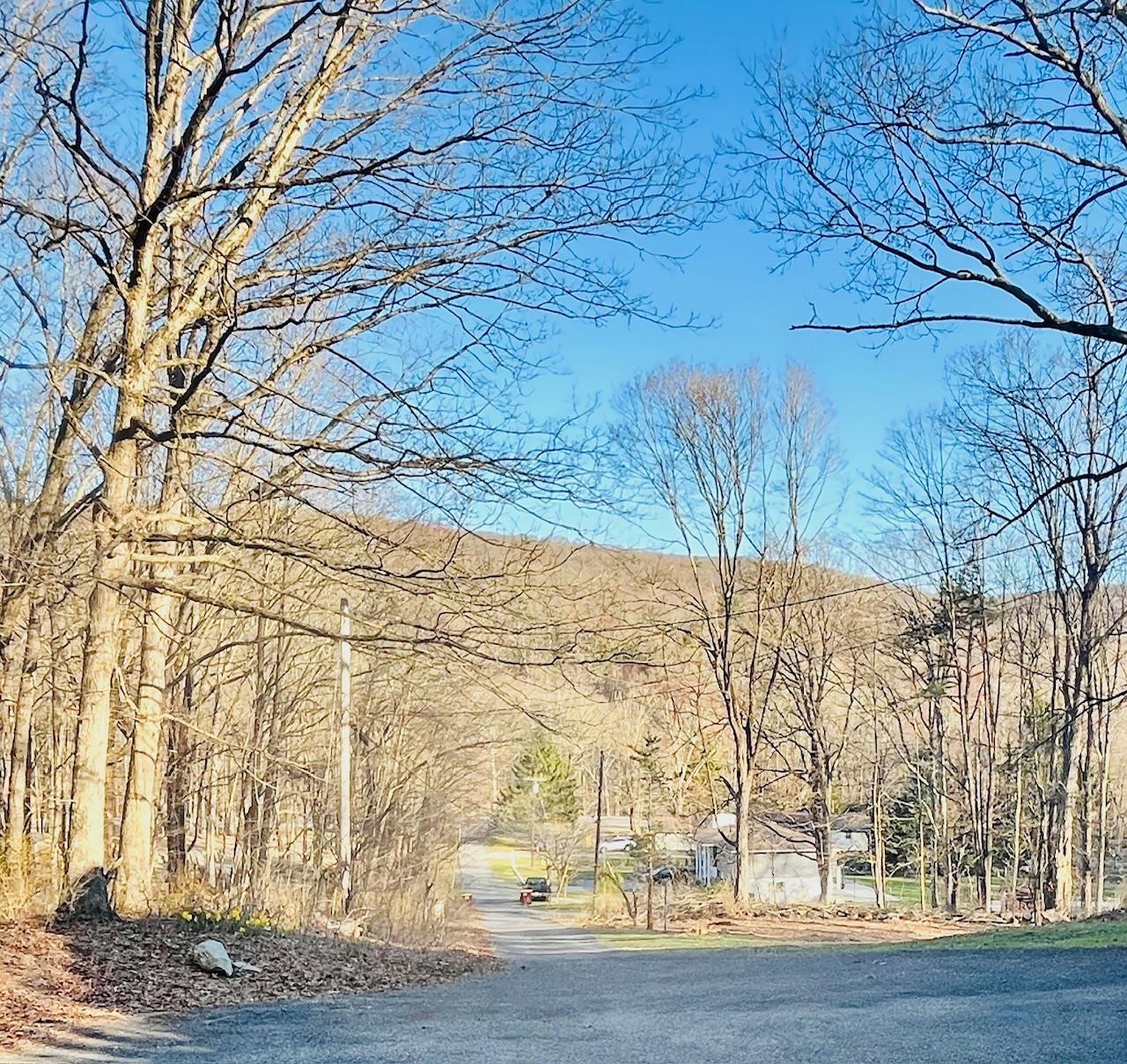 29 Lotus Lane, Monroe, New York image 29