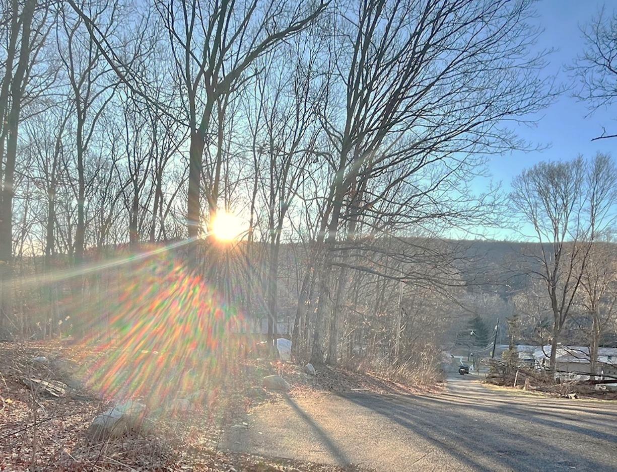 29 Lotus Lane, Monroe, New York image 30
