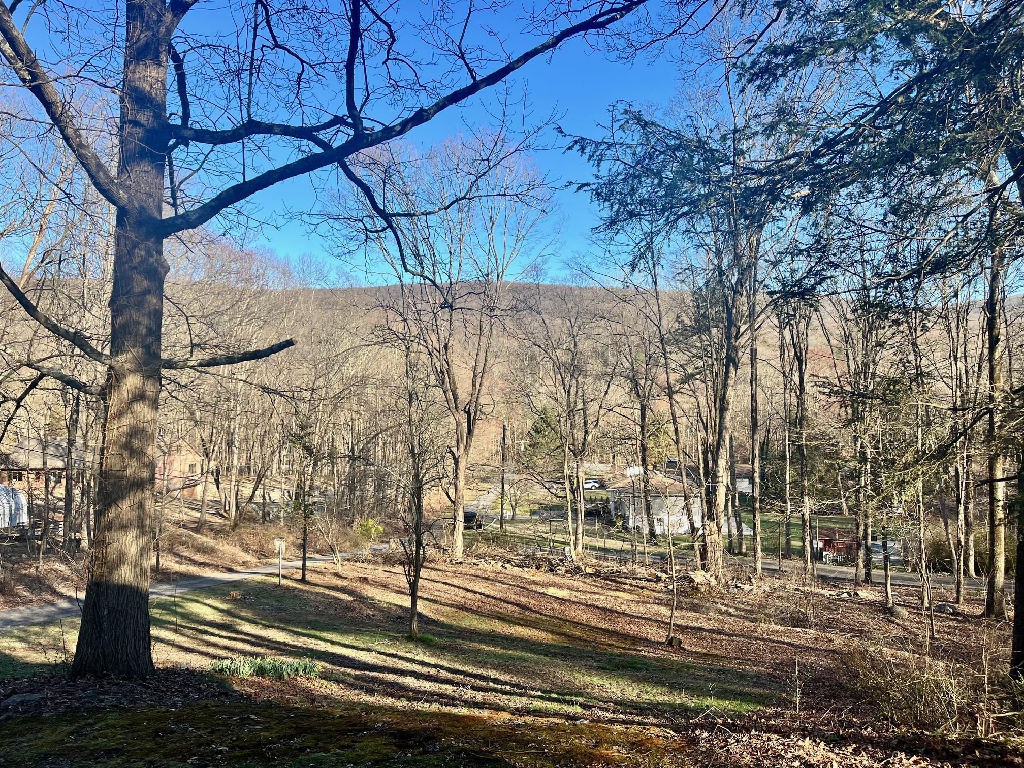 29 Lotus Lane, Monroe, New York image 27