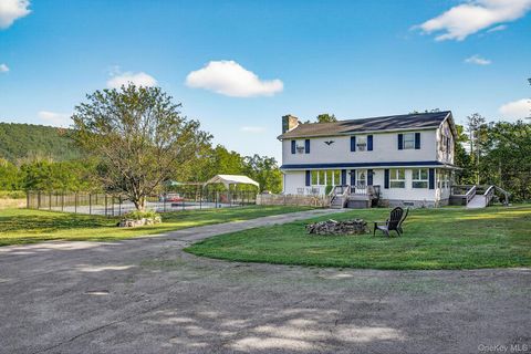 Homes For Sale - 109 Paul Horn Road<br/> Catskill, NY 12414