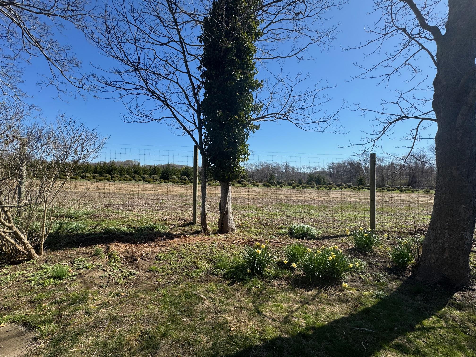 1845 Shipyard Lane, East Marion, New York image 14