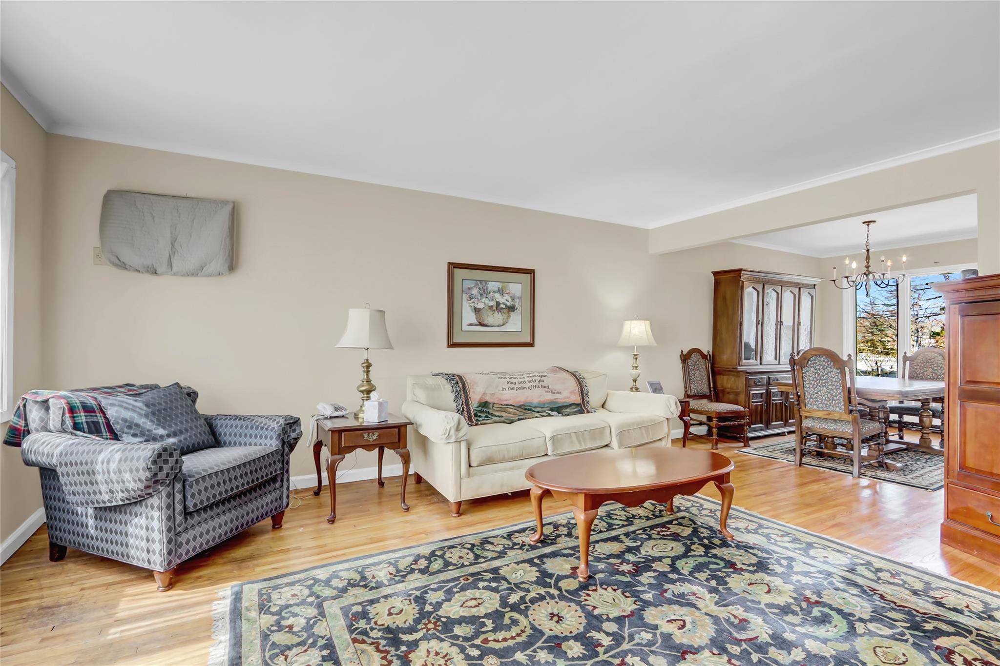 142 Aster Drive, New Hyde Park, New York image 5