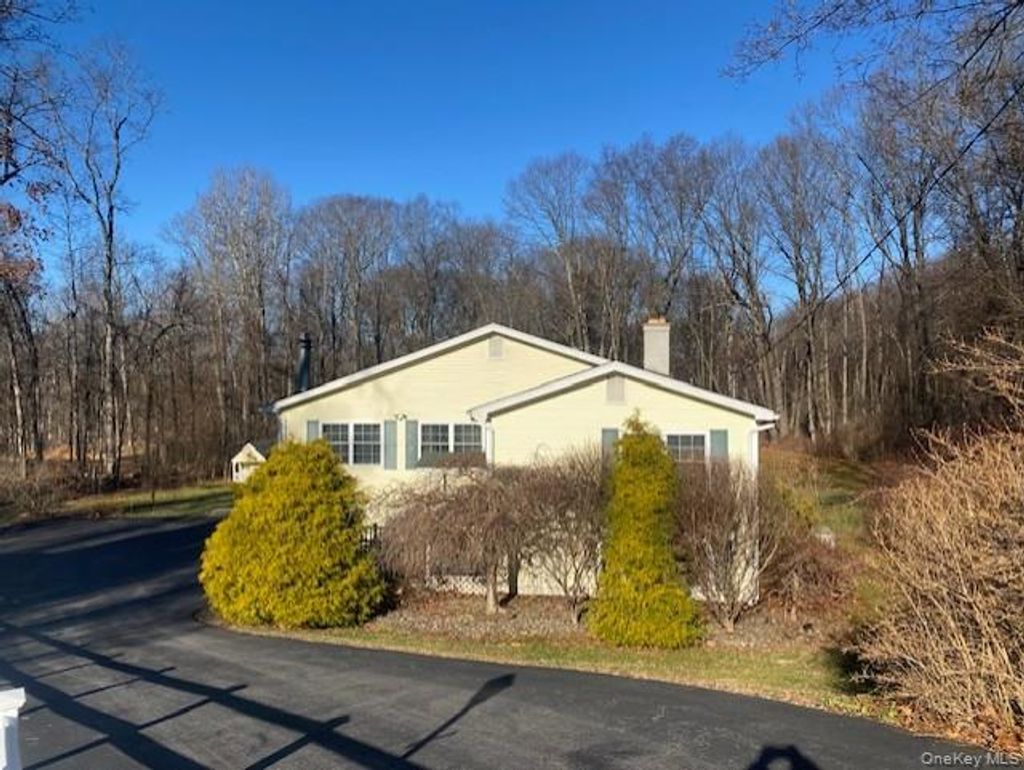 Photo of 13 Edna Drive Dr, Hyde Park, NY 12538 (MLS # 945804)