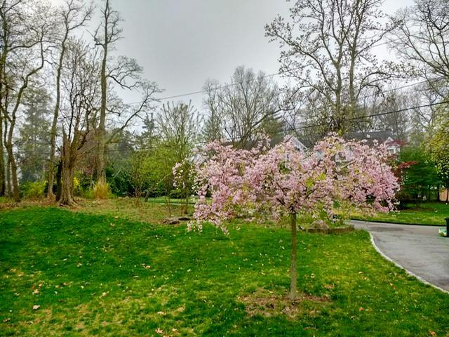 86 Highland Down, Shoreham, New York image 32