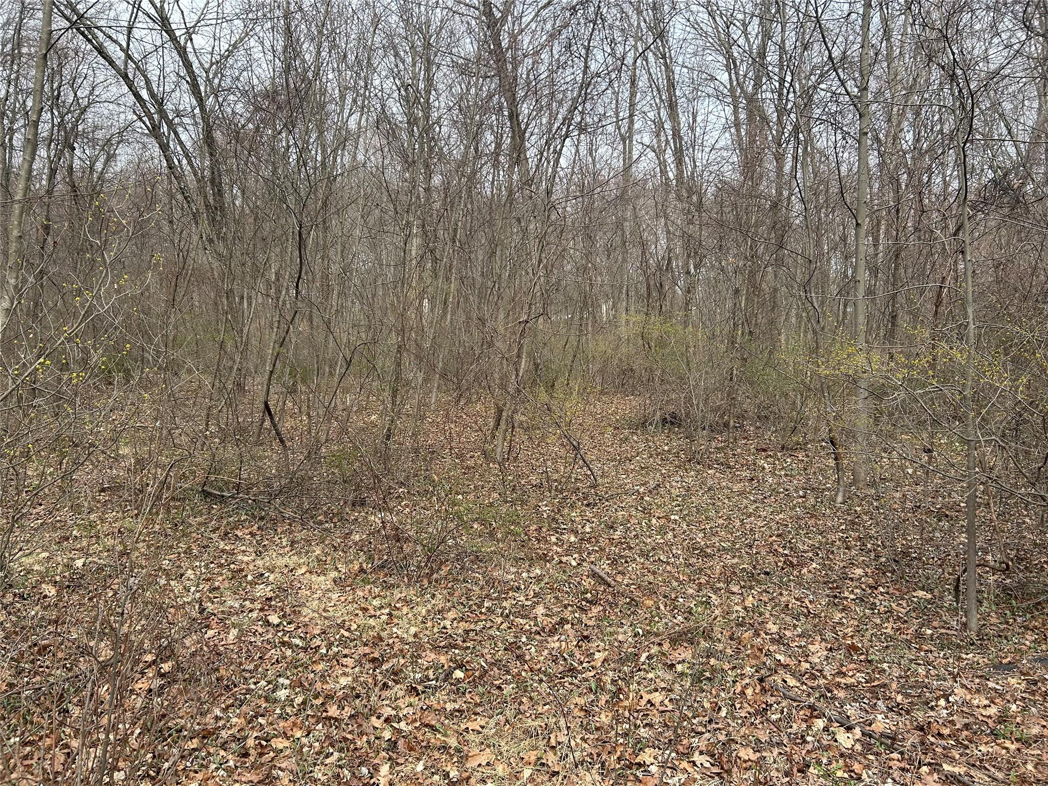 67 Jackson Road, Poughkeepsie, New York image 10
