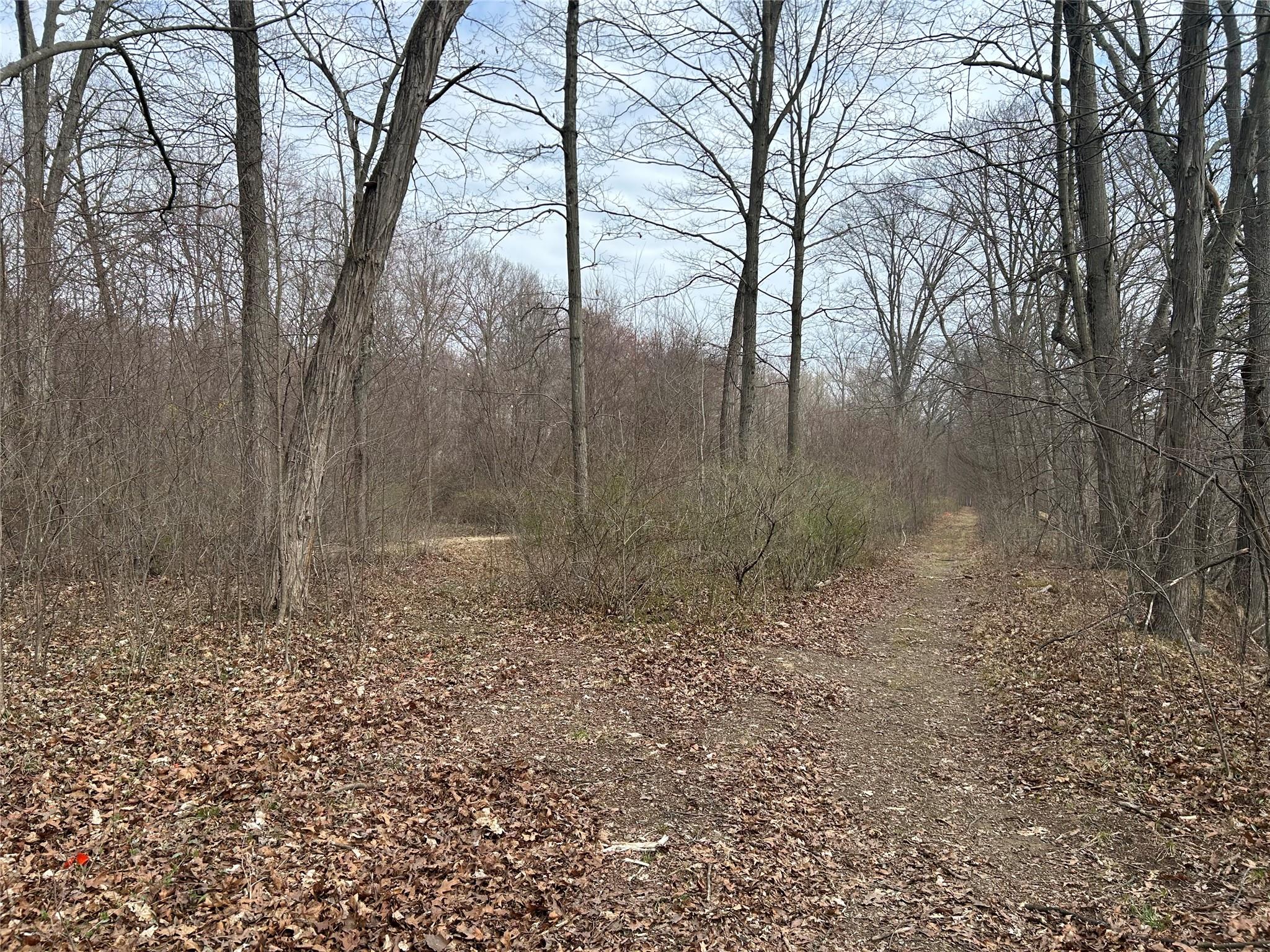 67 Jackson Road, Poughkeepsie, New York image 3