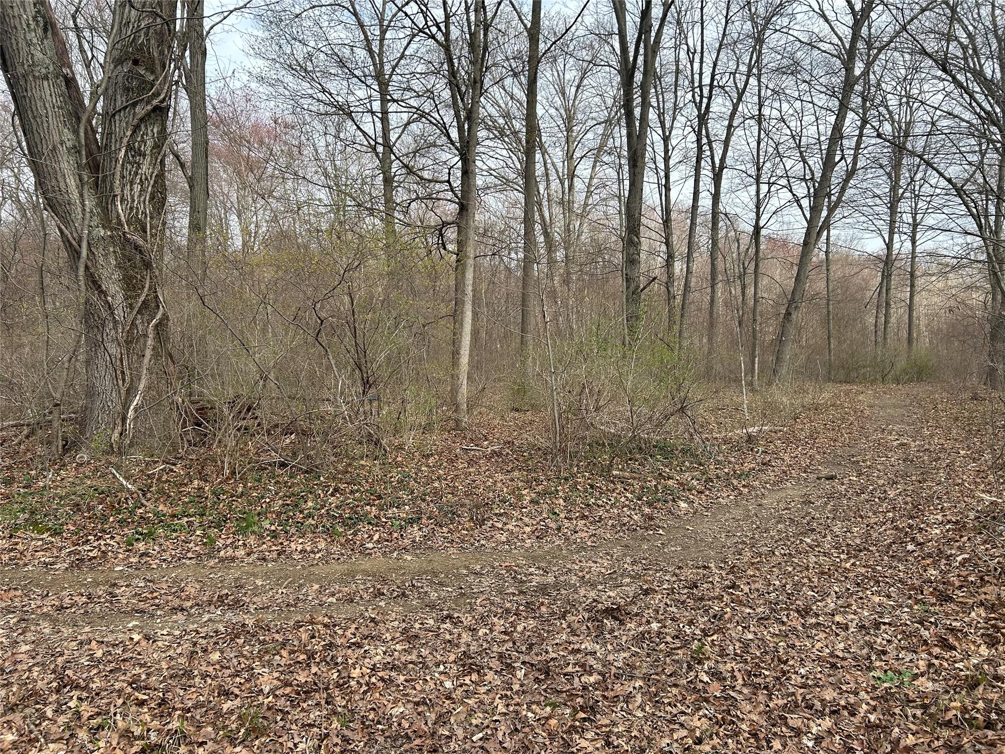 67 Jackson Road, Poughkeepsie, New York image 8