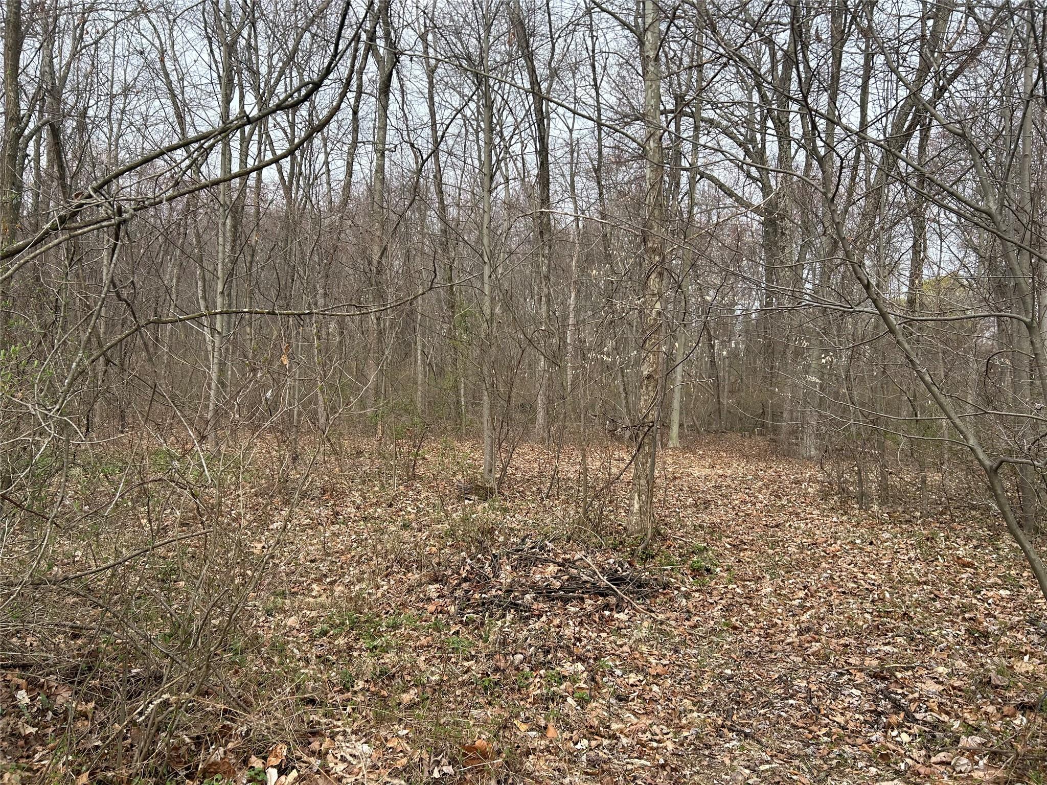 67 Jackson Road, Poughkeepsie, New York image 11