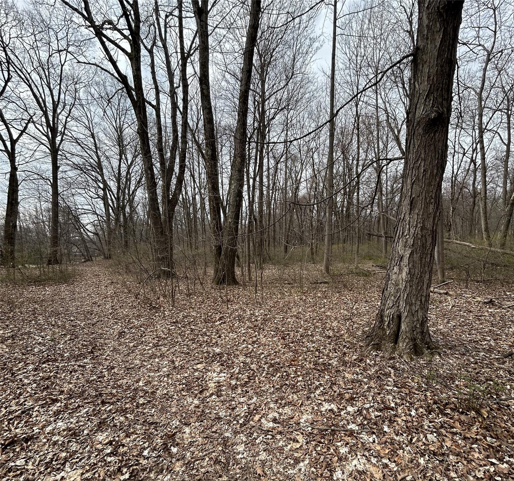 67 Jackson Road, Poughkeepsie, New York image 15