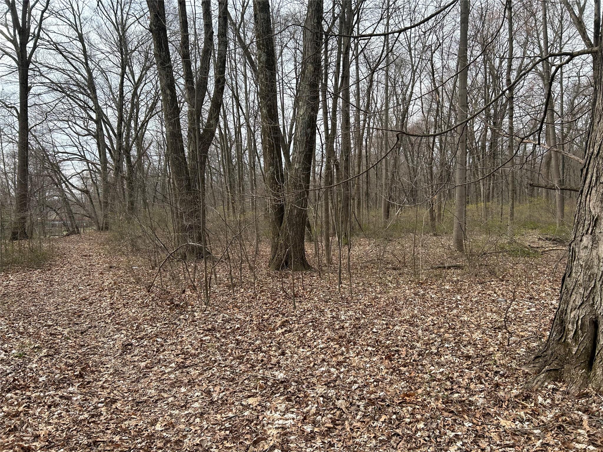 67 Jackson Road, Poughkeepsie, New York image 5