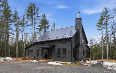 14 Tetta Lane Olivebridge NY 12461