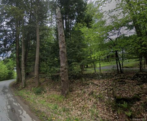 Swallow Trail Bethel NY 12720