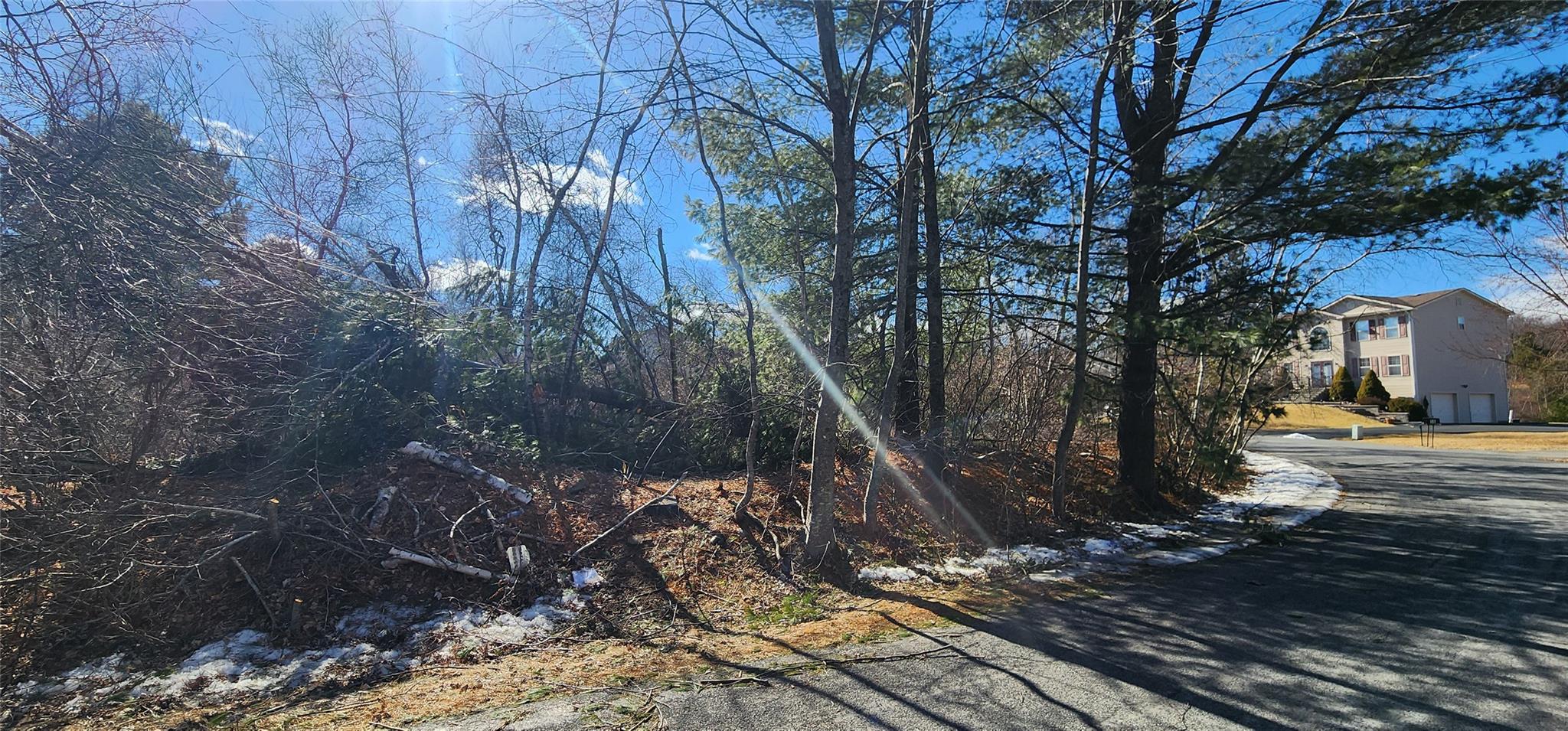 Club Lane, Rock Hill, New York image 5
