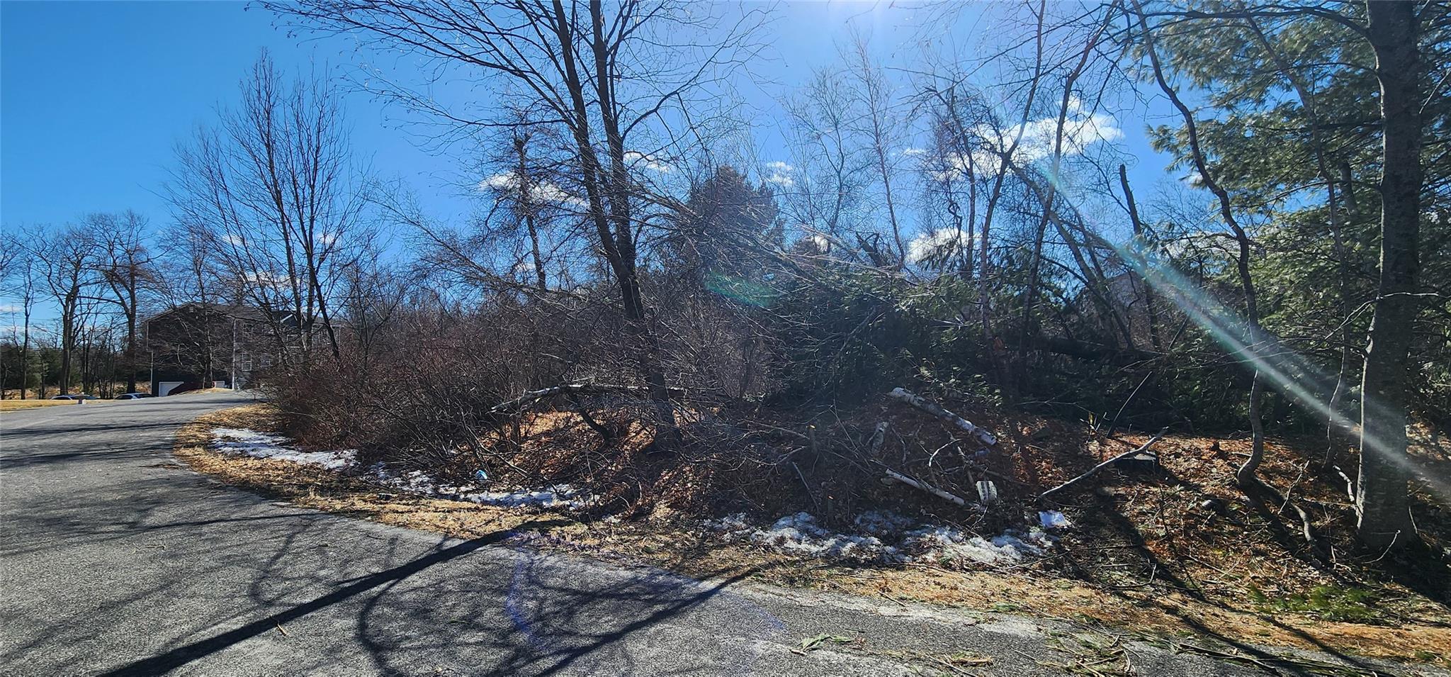 Club Lane, Rock Hill, New York image 4