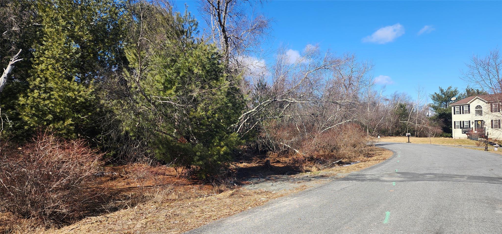 Club Lane, Rock Hill, New York image 6