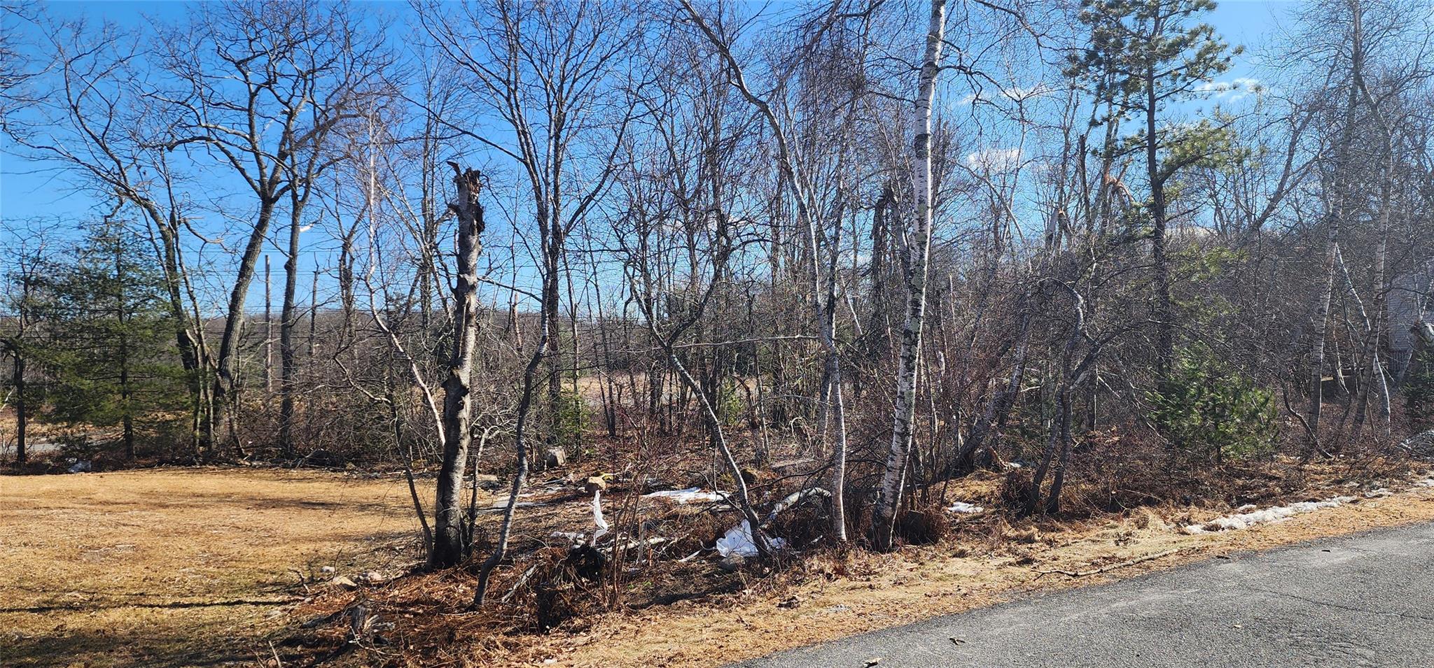Club Lane, Rock Hill, New York image 7