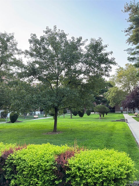 Homes For Sale - 138-35 Jewel Ave. Ave #3D<br/> Kew Garden Hills, NY 11367