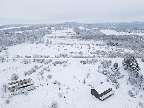 Homes For Sale - 625 Beechwoods Road<br/> Callicoon, NY 12723