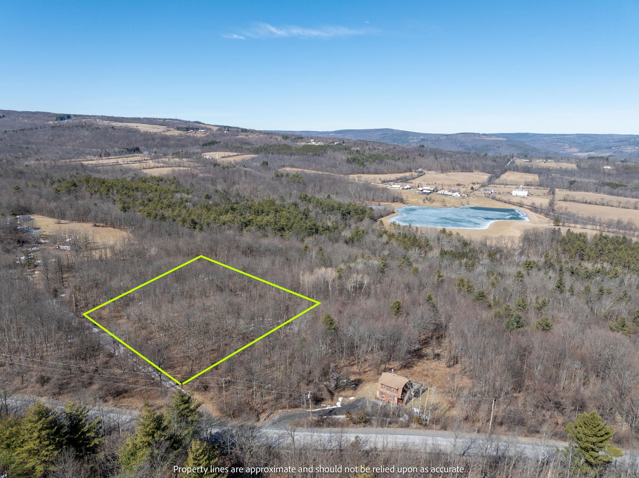 TBD W Abitz Road, Durham, New York image 1