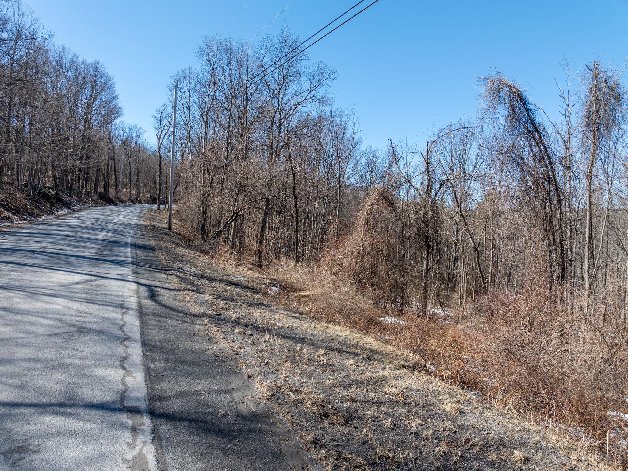 TBD W Abitz Road, Durham, New York image 32