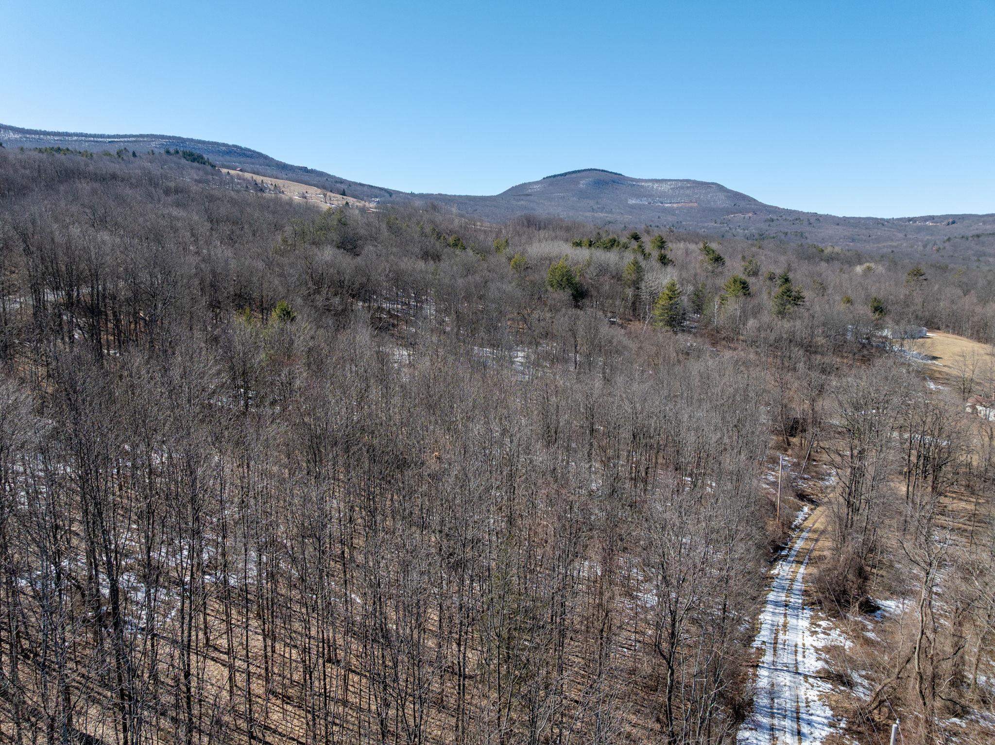 TBD W Abitz Road, Durham, New York image 36