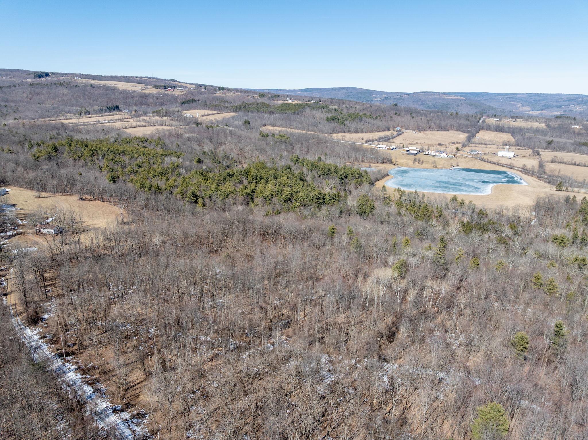 TBD W Abitz Road, Durham, New York image 16